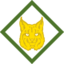 Bobcat (Webelos) adventure