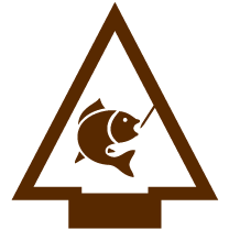 Fishing adventure