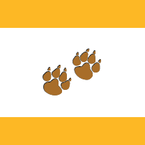 Mountain Lion adventure