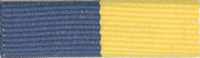 Exploring Law Enforcement and Fire/Emergency Services Award - Community Service
