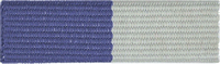 Exploring Law Enforcement and Fire/Emergency Services Award - Drug Abuse Prevention