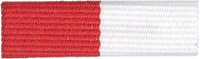 Exploring Law Enforcement and Fire/Emergency Services Award - Emergency Preparedness