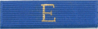 Exploring Law Enforcement and Fire/Emergency Services Award - Explorer of the Year