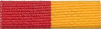 Exploring Law Enforcement and Fire/Emergency Services Award - Service