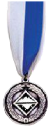 Venturing Leadership Award (Youth-Cncl)