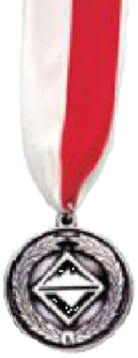 Venturing Leadership Award (Youth-Natl)