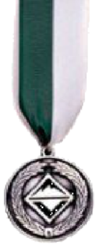 Venturing Leadership Award (Youth-NST)