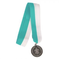 Sea Scout Leadership Award - Council