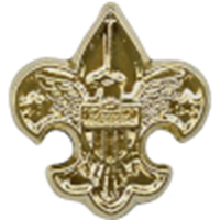 National Outdoor Achievement Award (Conservation) - Device #2 (Gold)