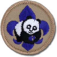 World Conservation Award (Boy Scouts)