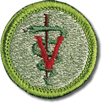 Veterinary Medicine merit badge