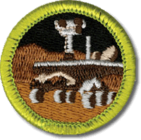 Robotics merit badge
