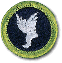 Athletics merit badge