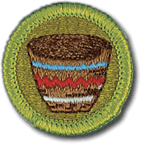 Basketry merit badge