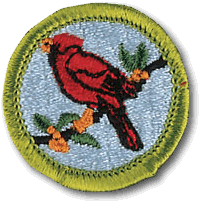 Bird Study merit badge