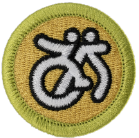 Disabilities Awareness merit badge