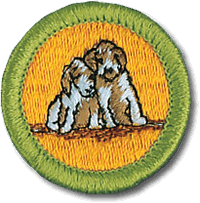 Dog Care merit badge