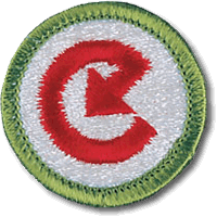 Energy merit badge