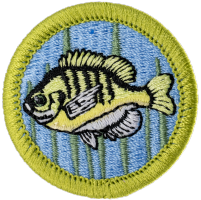 Fishing merit badge