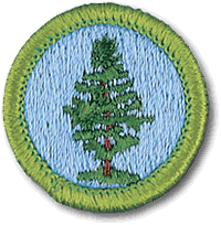 Forestry merit badge
