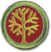 Genealogy merit badge