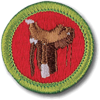 Horsemanship merit badge