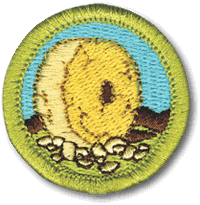 Inventing merit badge
