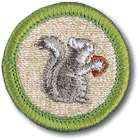 Mammal Study merit badge