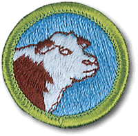 Animal Science merit badge