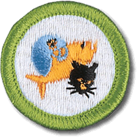 Pets merit badge