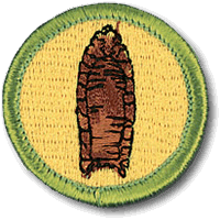 Archaeology merit badge