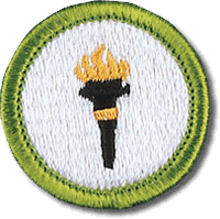 Public Health merit badge