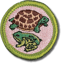 Reptile and Amphibian Study merit badge