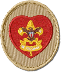 Life Scout rank