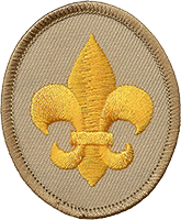 Scout rank